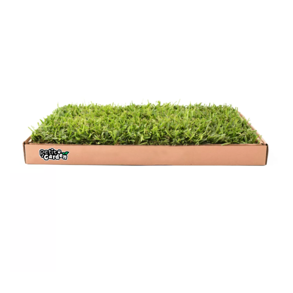Petit Garden Sanitario natural para mascotas