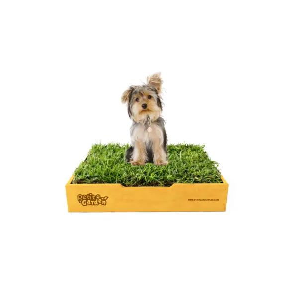 Sanitario de pasto natural de repuestos intercambiables para perros pequeños
