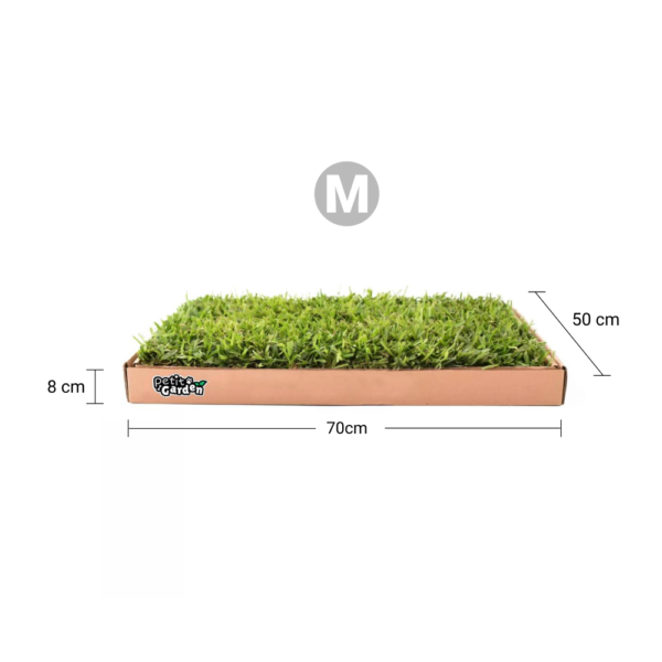 Repuesto Talla M - Para Sanitario con Base de Madera - Imagen 2