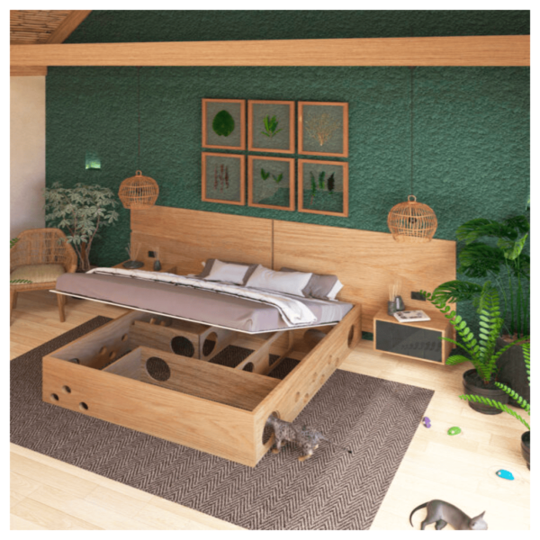Mega cama gatrimonial - Imagen 2