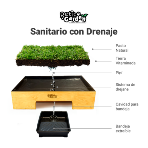 Cómo funcionan los Sanitarios con drenaje para perros de Petit GArden