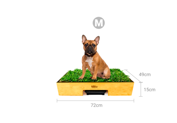 petit garden talla m medidas - sanitario de pasto natural para peros