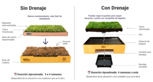 diferencia entre un sanitario de pasto natural con drenaje y uno de repuestos intercambiables Petit Garden