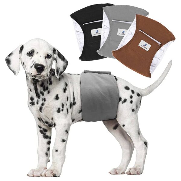 Pañal para perro macho colores
