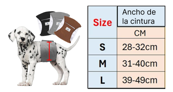 medidas de pañal ppara perrito macho