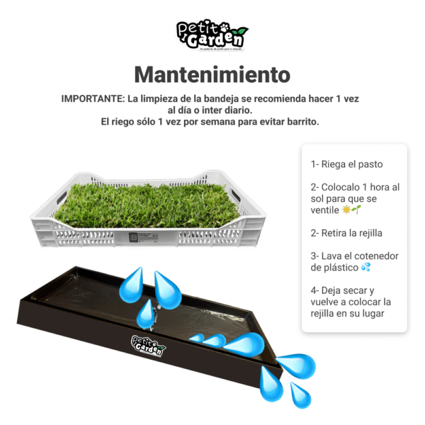 Sanitario de pasto natural con Rejilla de drenaje anti olores petit garden mantenimiento