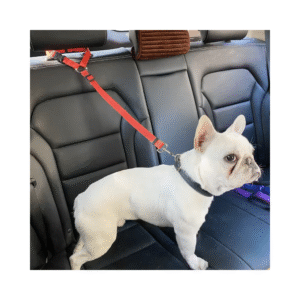 correa de seguridad para mascotas en el carro
