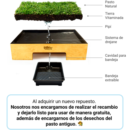 Como funciona el sanitario de pasto natural con drenaje de petit garden